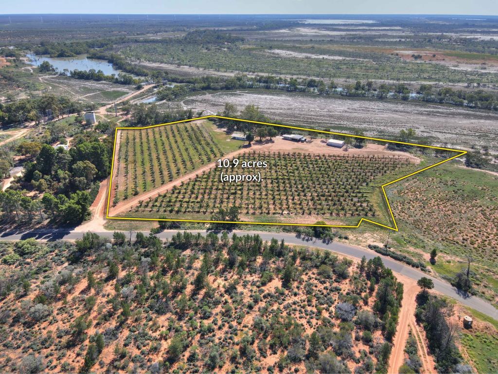 372 Sanctuary Rd, Renmark, SA 5341