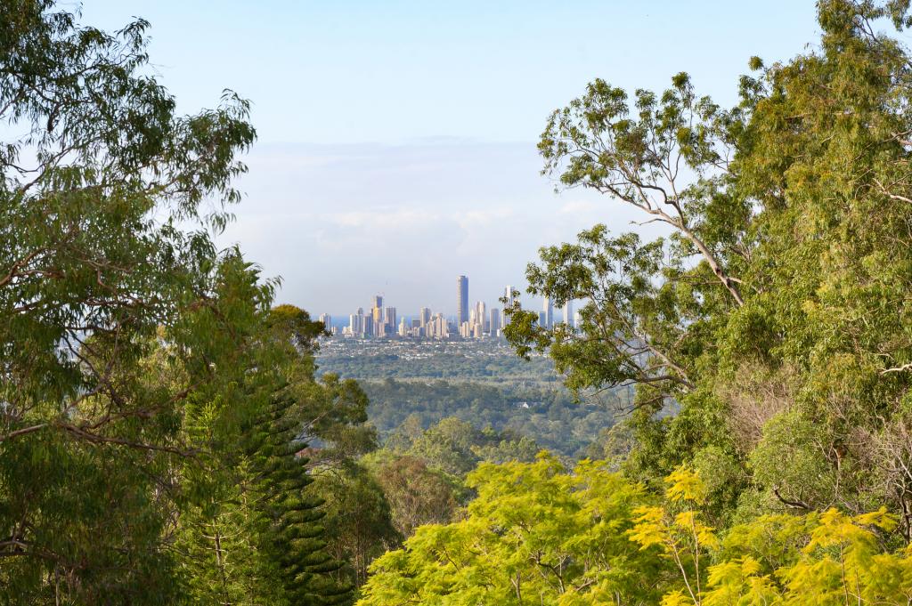 142 TALLAI RD, TALLAI, QLD 4213