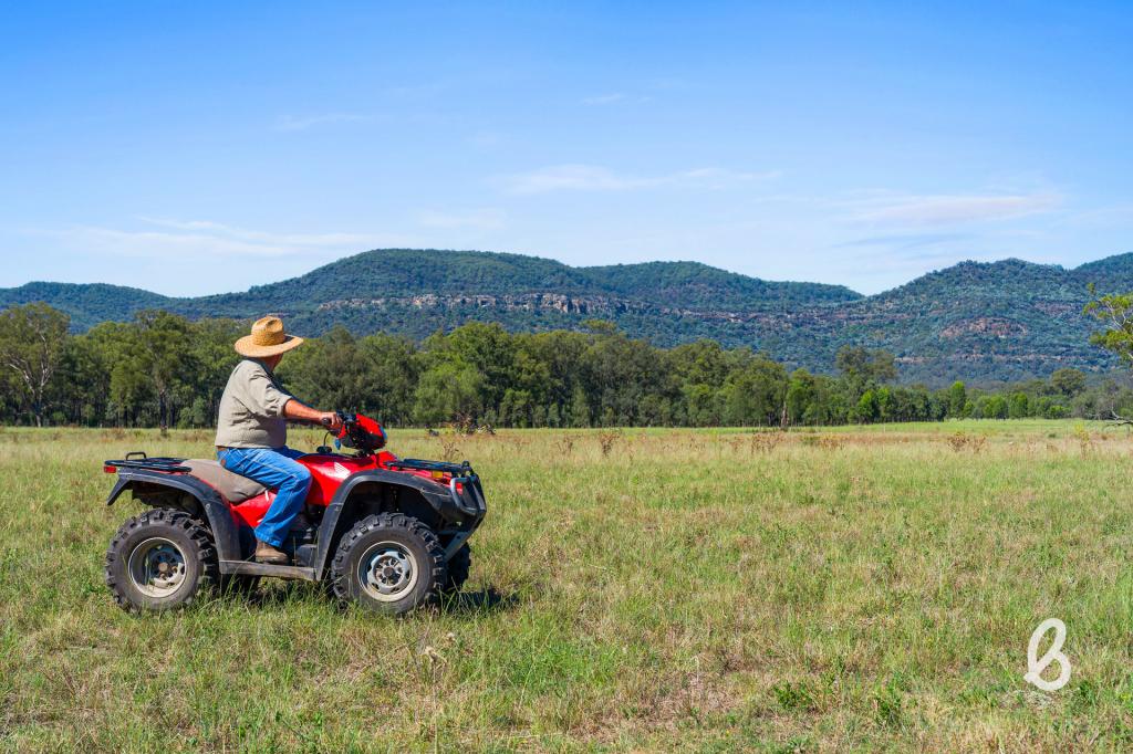 Lot 12 Redmanvale Rd, Jerrys Plains, NSW 2330