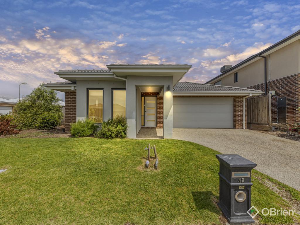 12 Pump House Cres, Clyde, VIC 3978