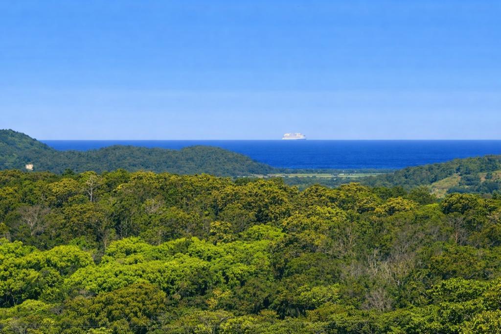 Contact Agent For Address, Dalwood, NSW 2477
