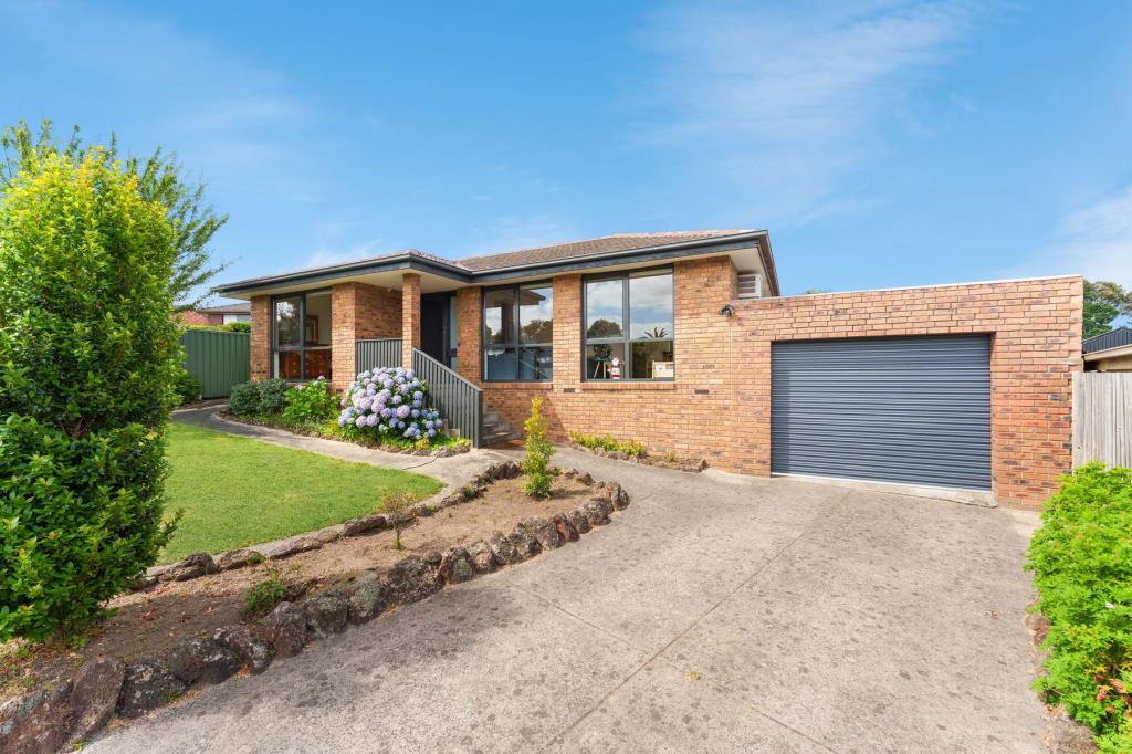 12 NOWELL CT, ENDEAVOUR HILLS, VIC 3802