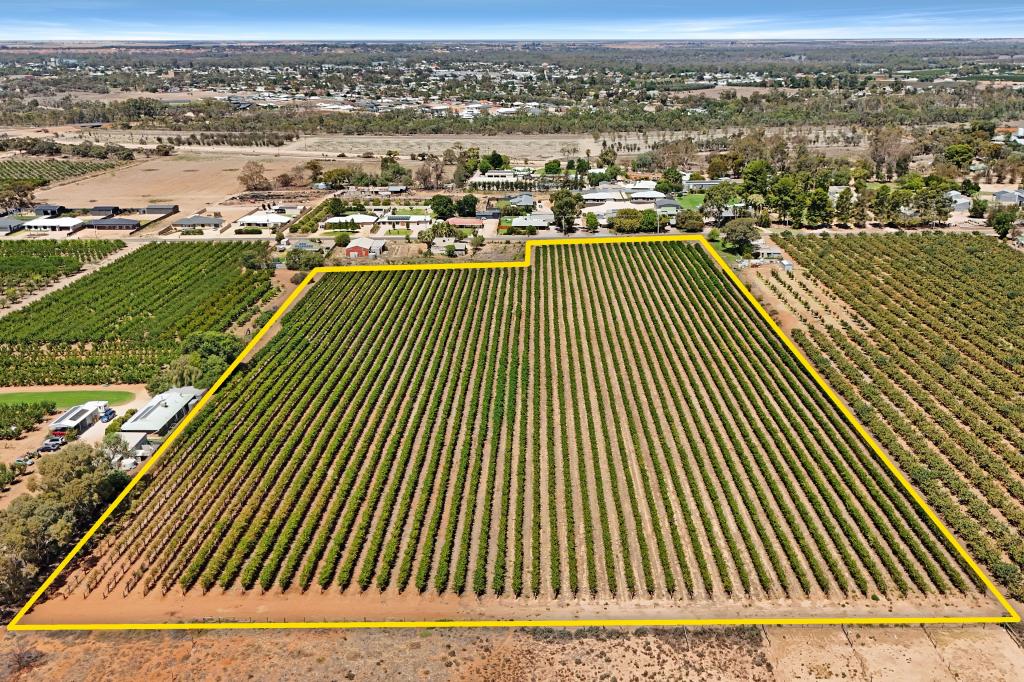 LOT 2 ARUMPO ST, RENMARK, SA 5341