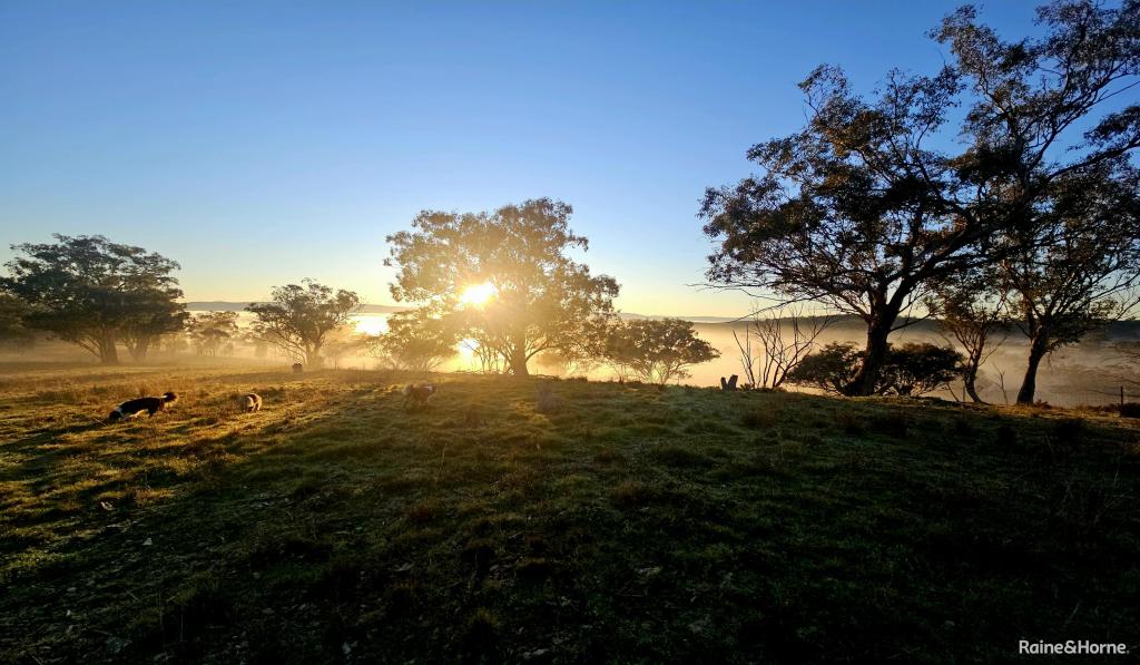 242 Fashions Mount Road Mumbil Via, Wellington, NSW 2820