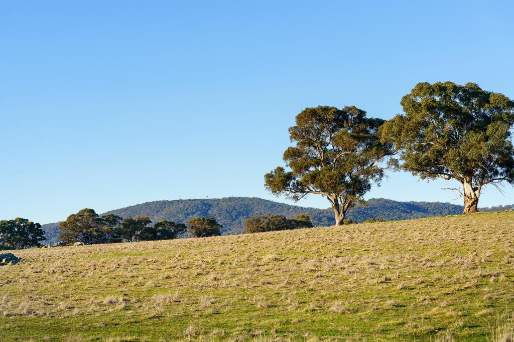 135 Tarrengower School Rd, Tarrengower, VIC 3463