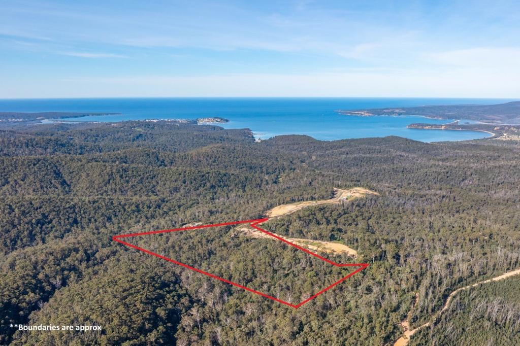 156 Silver Top Crescent, Nullica Via, Eden, NSW 2551