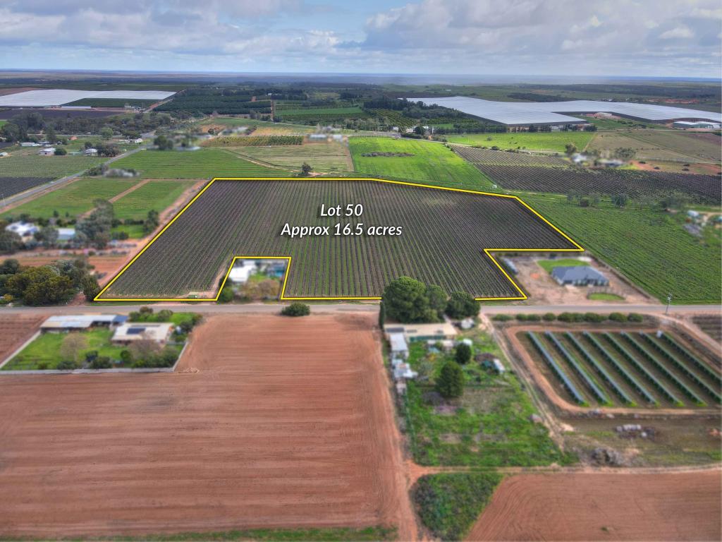 LOT 50 CHOWILLA ST, RENMARK, SA 5341