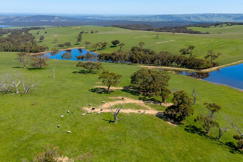 A22 Cole Crossing Rd, Mount Magnificent, SA 5210
