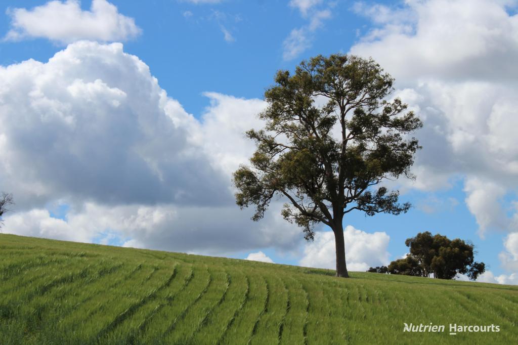 LOTS 10632 & 25721 STRANGE RD, JELCOBINE, WA 6306