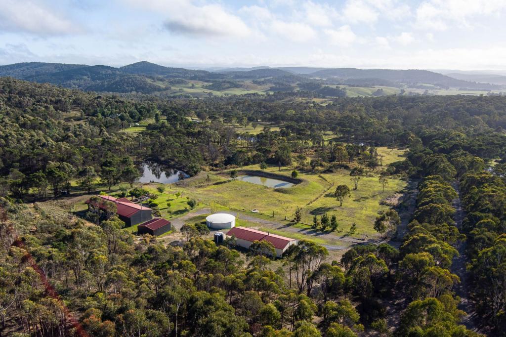 359 Forest Siding Rd, Middle Arm, NSW 2580