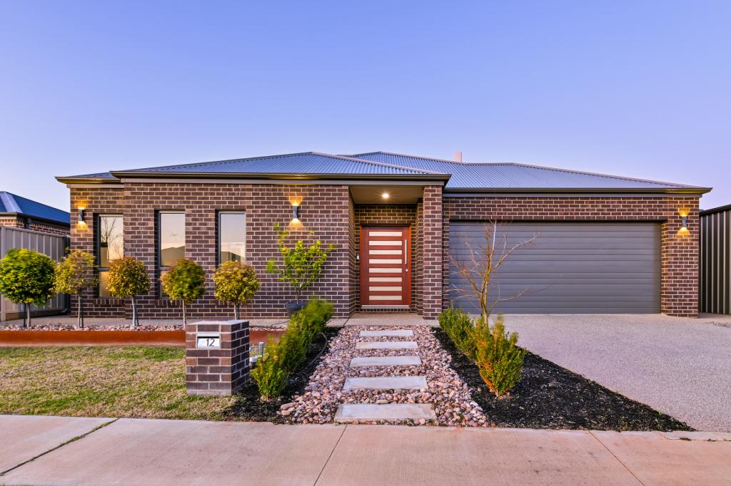 12 Milan Dr, Irymple, VIC 3498