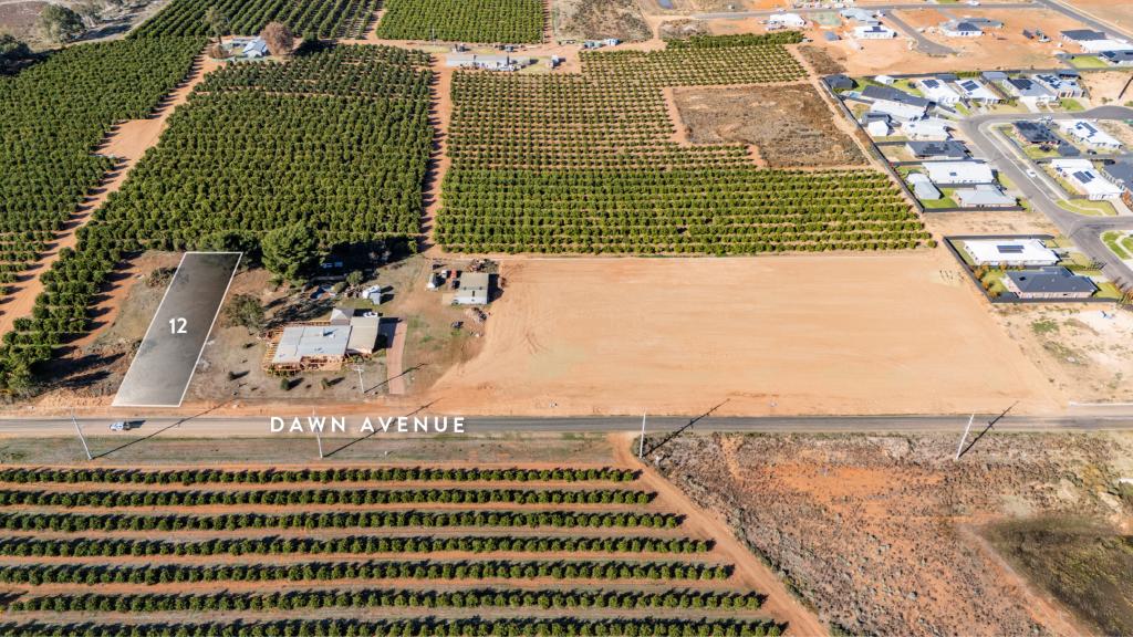 Lot 12/86 Dawn Ave, Gol Gol, NSW 2738