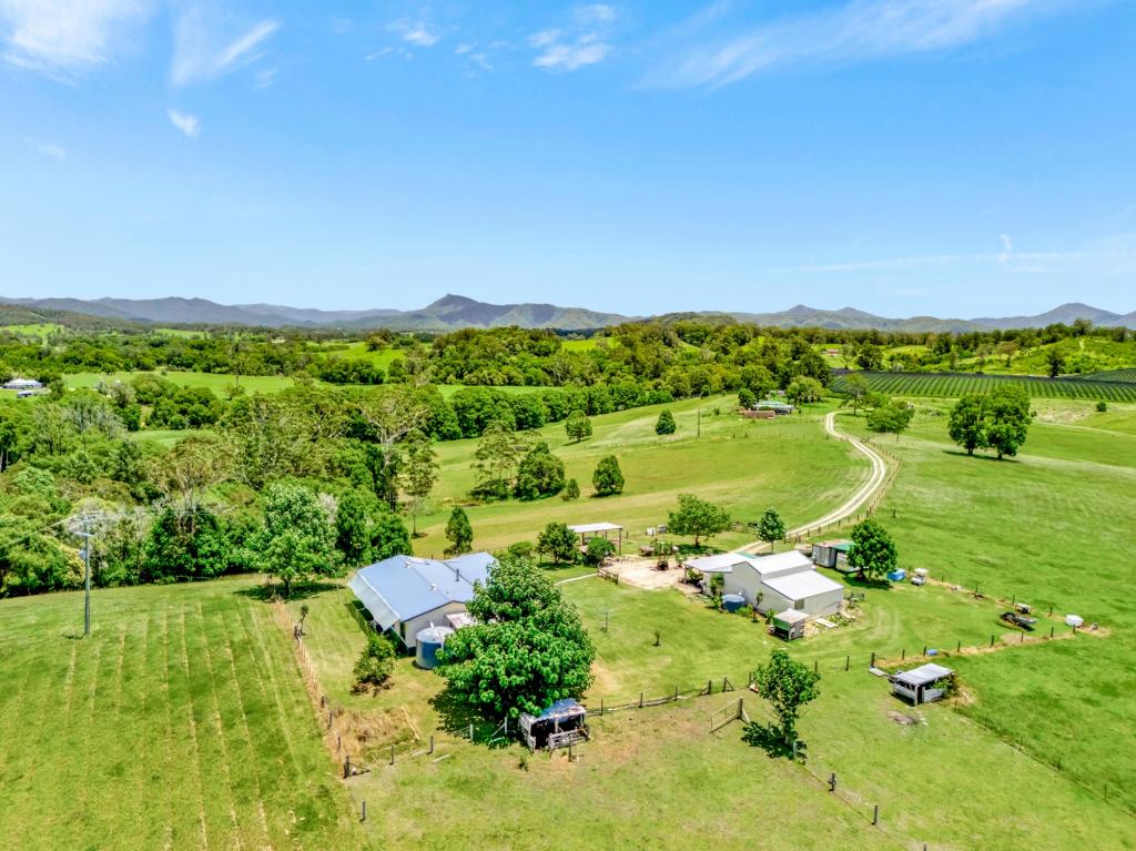 55 LOWER BUCKRA BENDINNI RD, BOWRAVILLE, NSW 2449