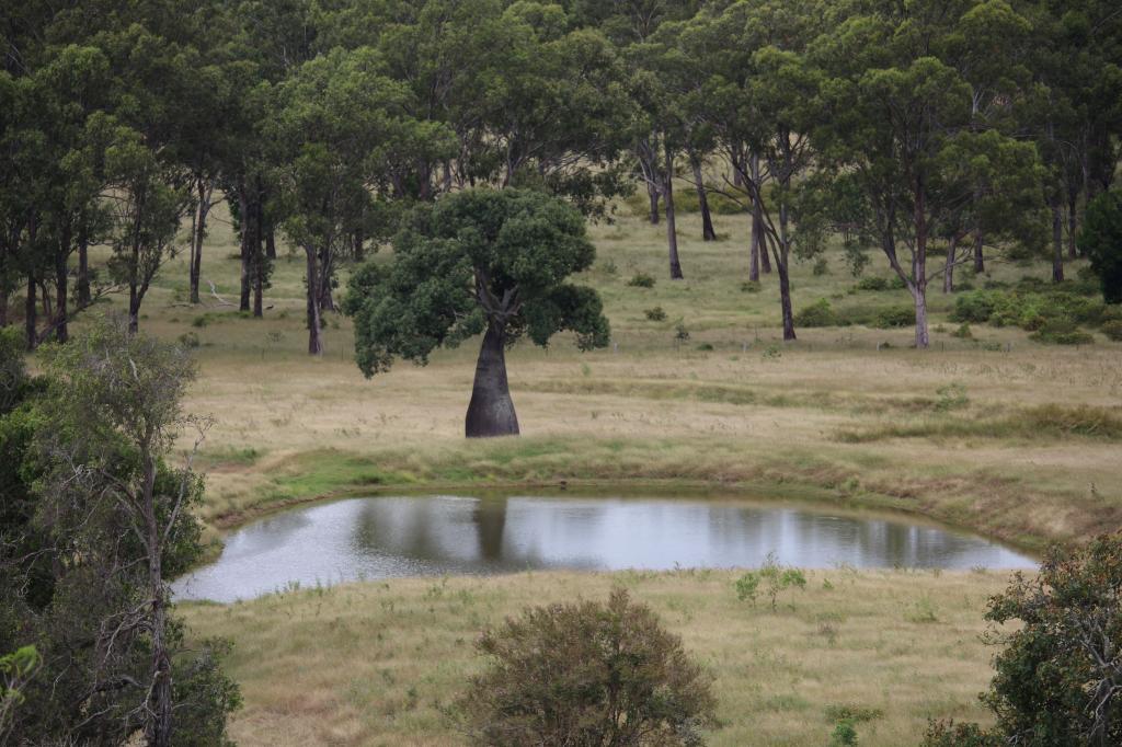 260 Taylor Lane, Machine Creek, QLD 4695