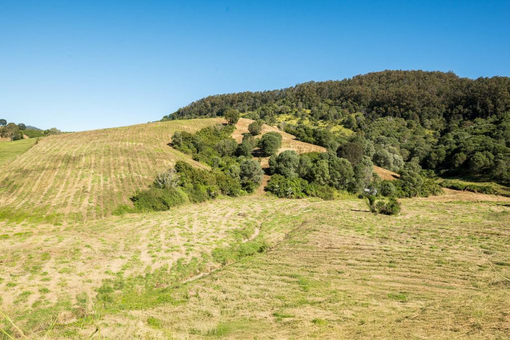 840 Laceys Creek Rd, Laceys Creek, QLD 4521