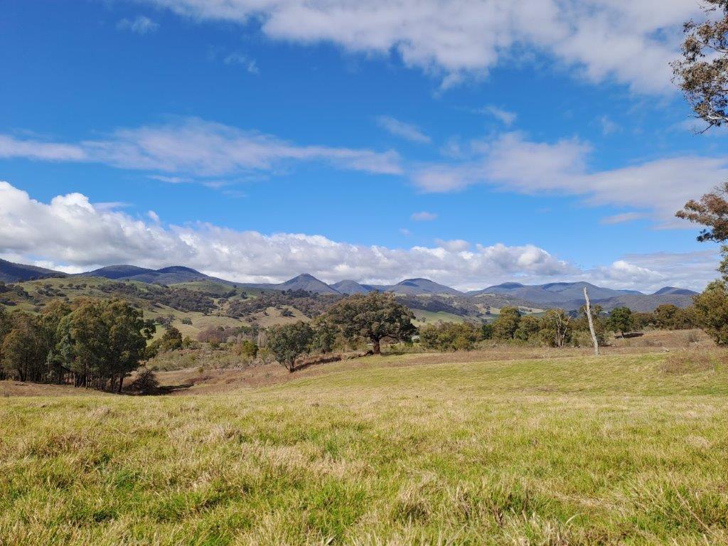 6318 Wee Jasper Rd, Wee Jasper, NSW 2582