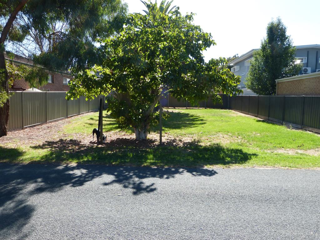 7 Cornwall Pl, Bendigo, VIC 3550