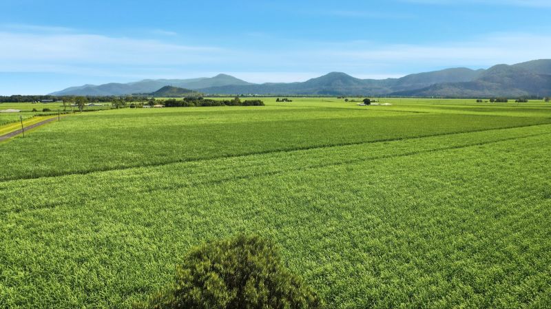 Lot 44 Crossland Rd, Gordonvale, QLD 4865