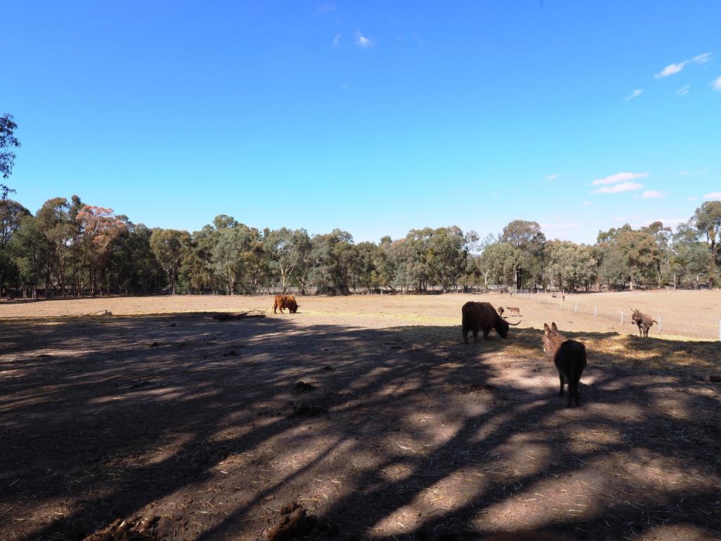 Contact Agent For Address, Amphitheatre, VIC 3468