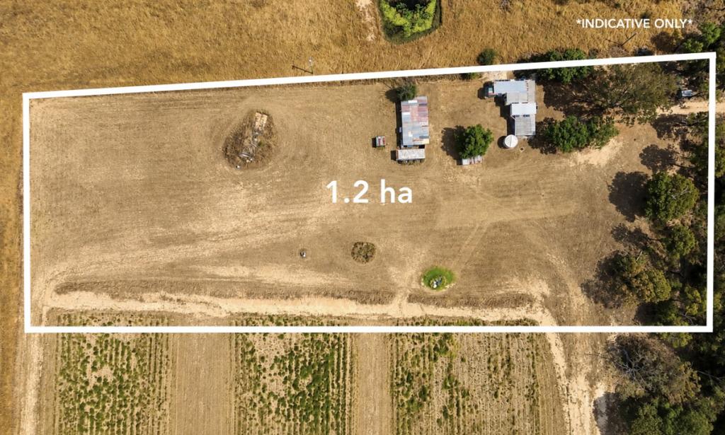 199 Longs Rd, Bucca, QLD 4670
