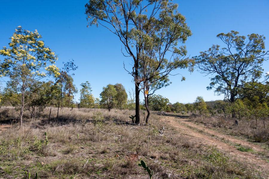 Contact agent for address, THANES CREEK, QLD 4370