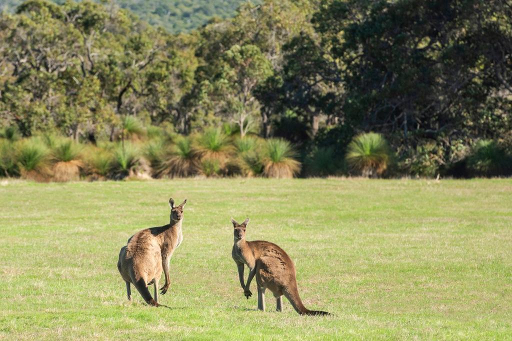 LOT PL1 - 4/93 BIDDLE RD, QUEDJINUP, WA 6281