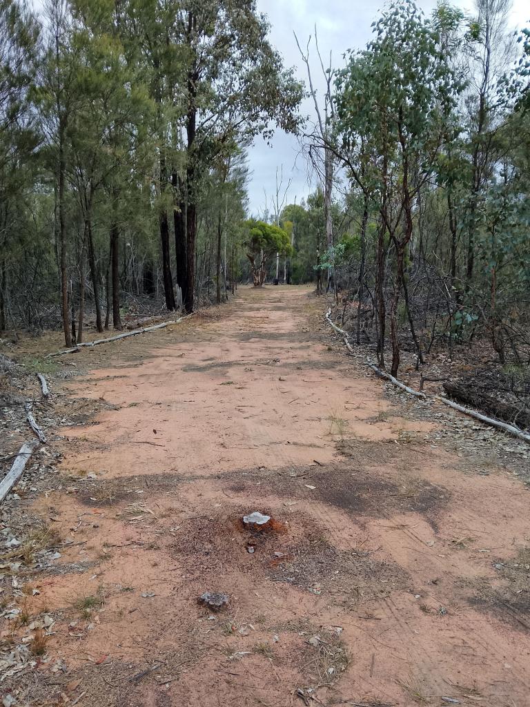 Lot 150 Bennett School Rd, Tara, QLD 4421