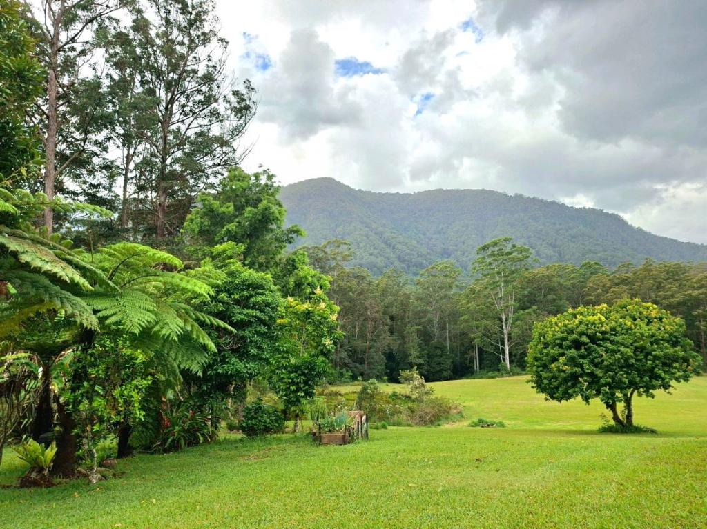 Contact Agent For Address, Nimbin, NSW 2480