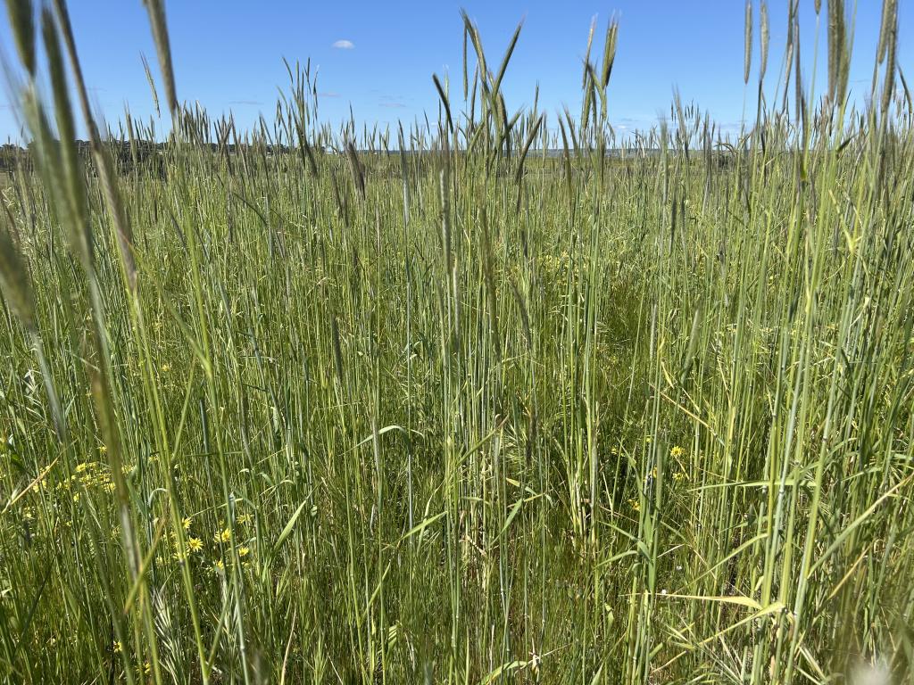 2898 Gillingarra Rd, Mogumber, WA 6506