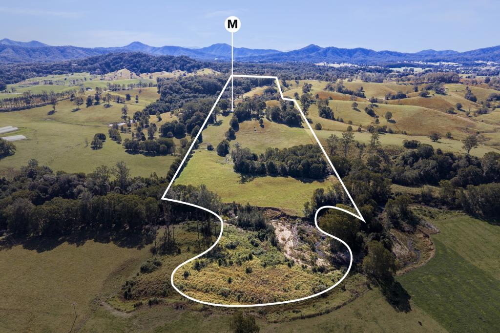 309 Lower Buckra Bendinni Rd, Buckra Bendinni, NSW 2449