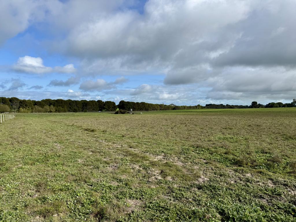 Lot 673 Riddoch Hwy, Naracoorte, SA 5271