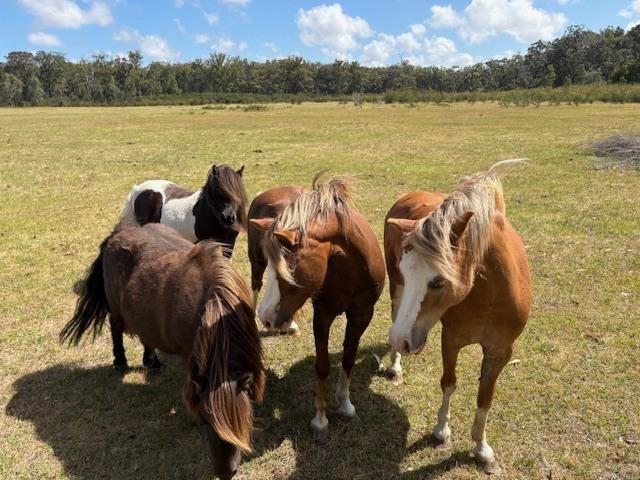 612 Old Rosedale Rd, Woodside, VIC 3874