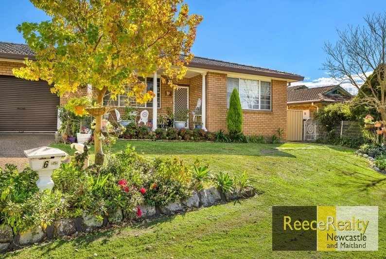 6a Casuarina Cct, Warabrook, NSW 2304