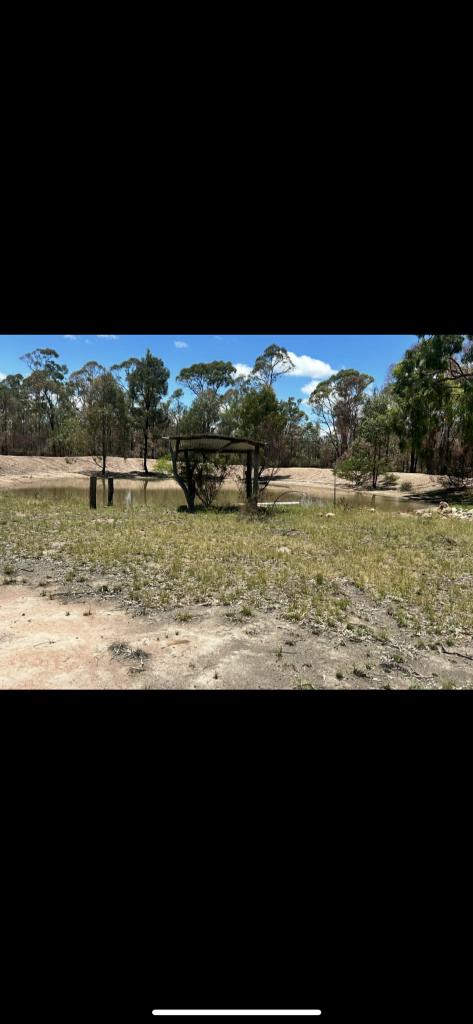 319 MALES DR, TARA, QLD 4421