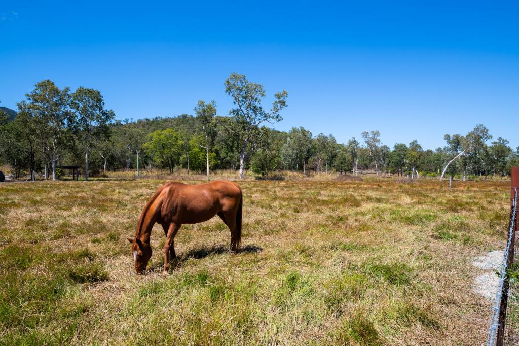 717 Dingo Beach Rd, Gregory River, QLD 4800
