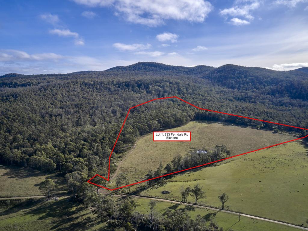 Lot 1/233 Ferndale Rd, Bicheno, TAS 7215