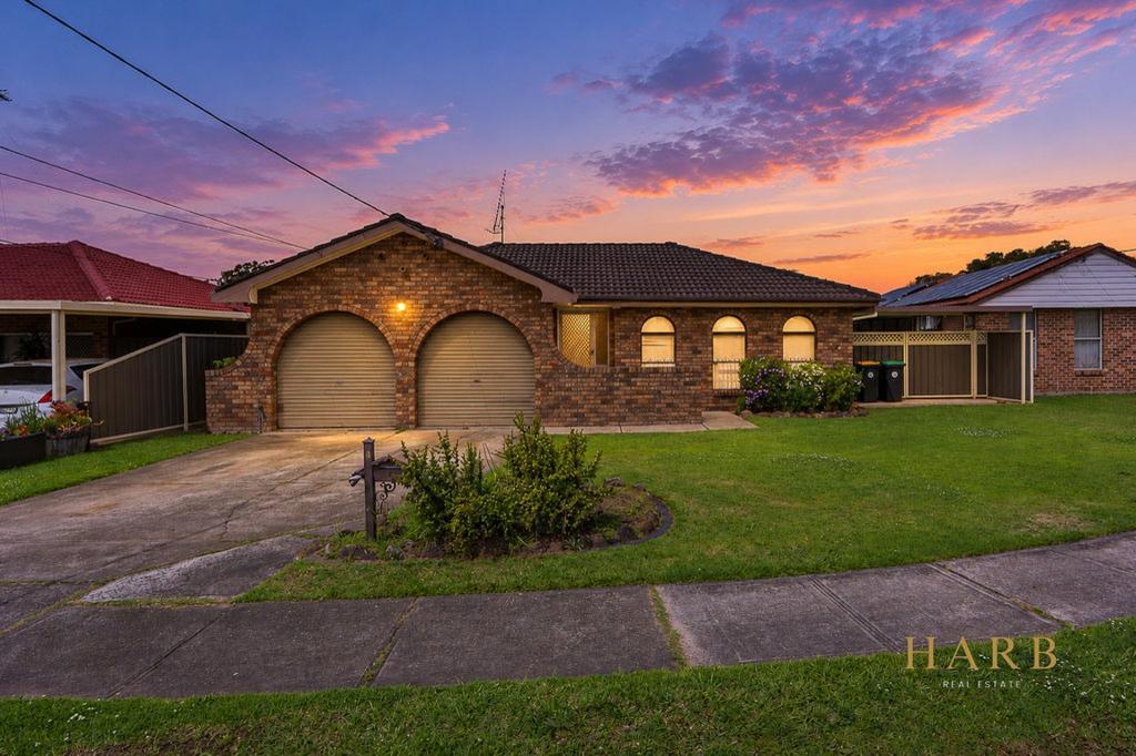 3 Mckay St, Toongabbie, NSW 2146