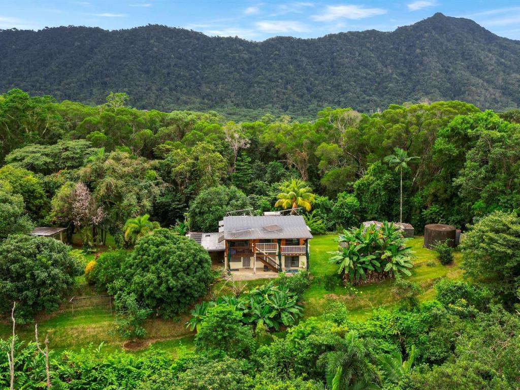 134 Ronald Road, Forest Creek, Daintree, QLD 4873