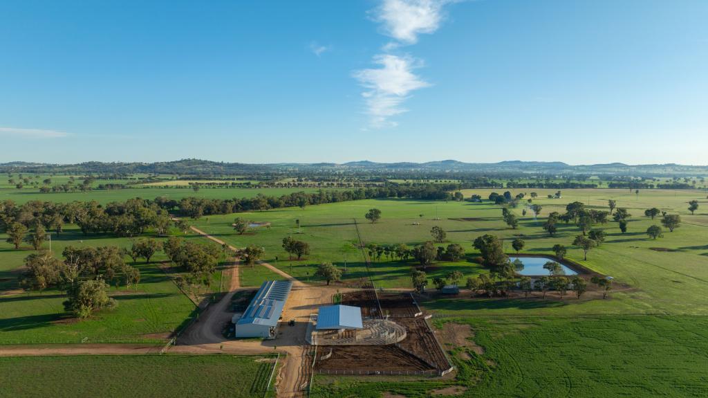 1948 Coach Rd, Morven, NSW 2660