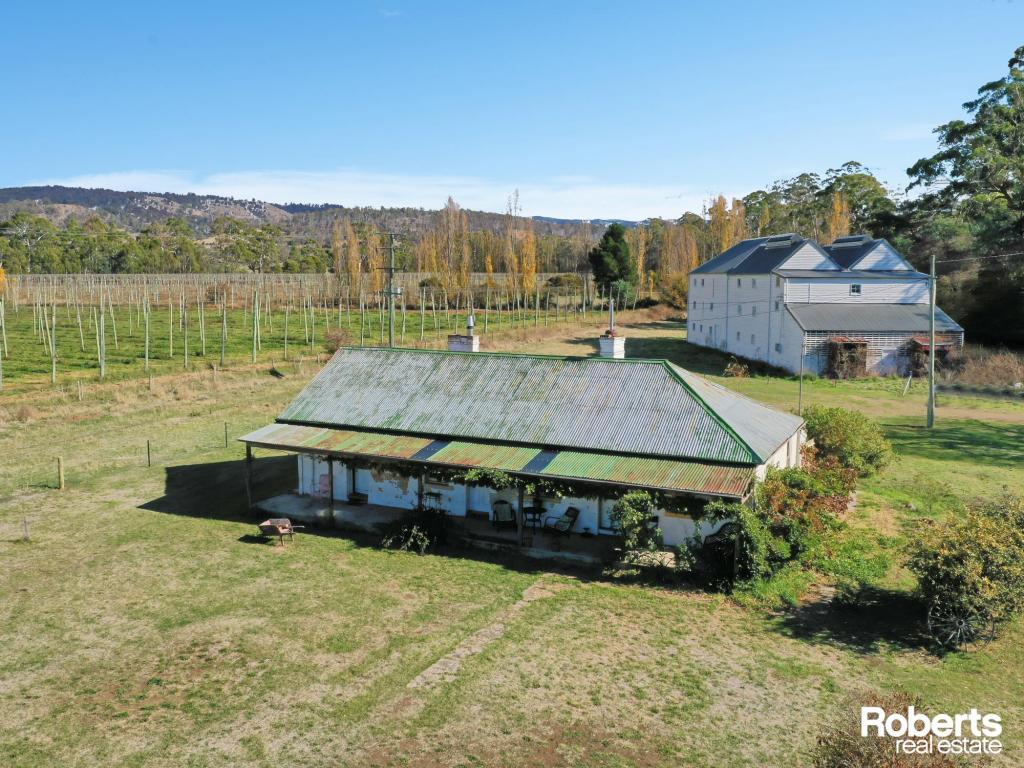 1697 Glenora Rd, Bushy Park, TAS 7140