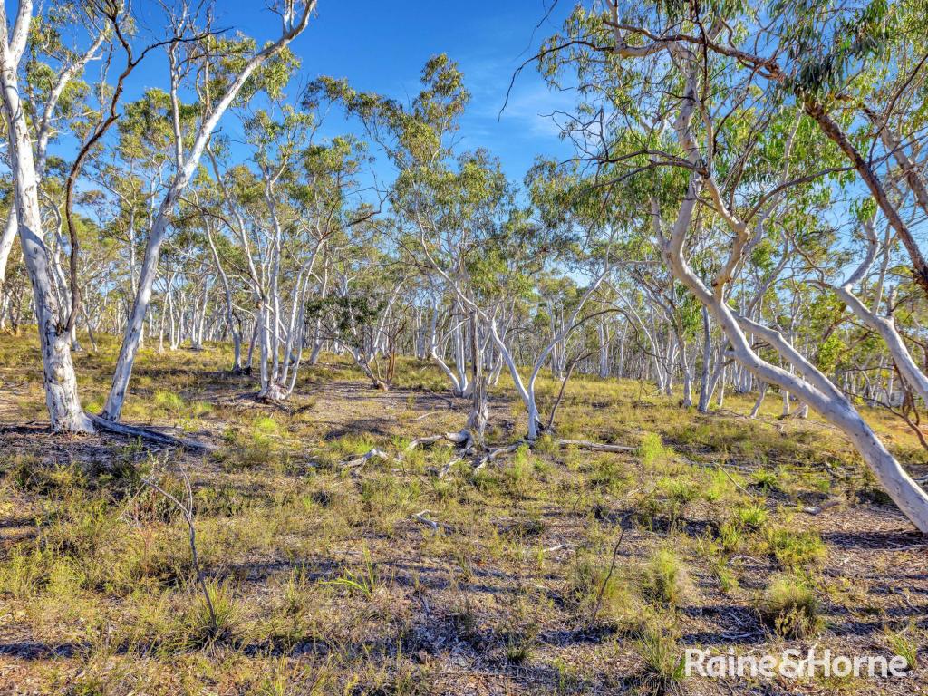 Lot 1 Hill End Rd, Tambaroora, NSW 2850