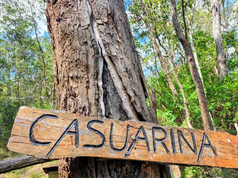 109 Back Creek Rd, Crows Nest, QLD 4355