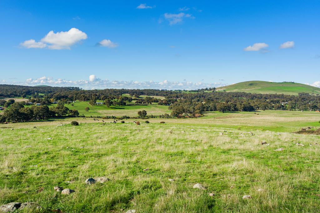 Lot 29 Mt Greenoch Rd, Red Lion, VIC 3371