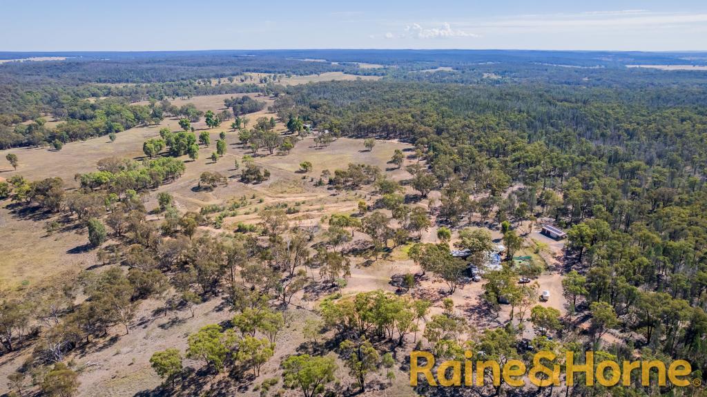 19l Spicers Creek Rd, Elong Elong, NSW 2831