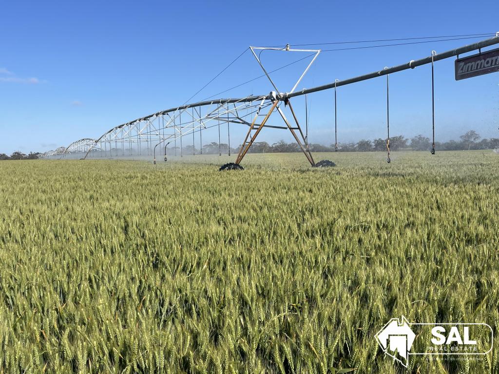 200 Pooginagoric Rd, Pooginagoric, SA 5268