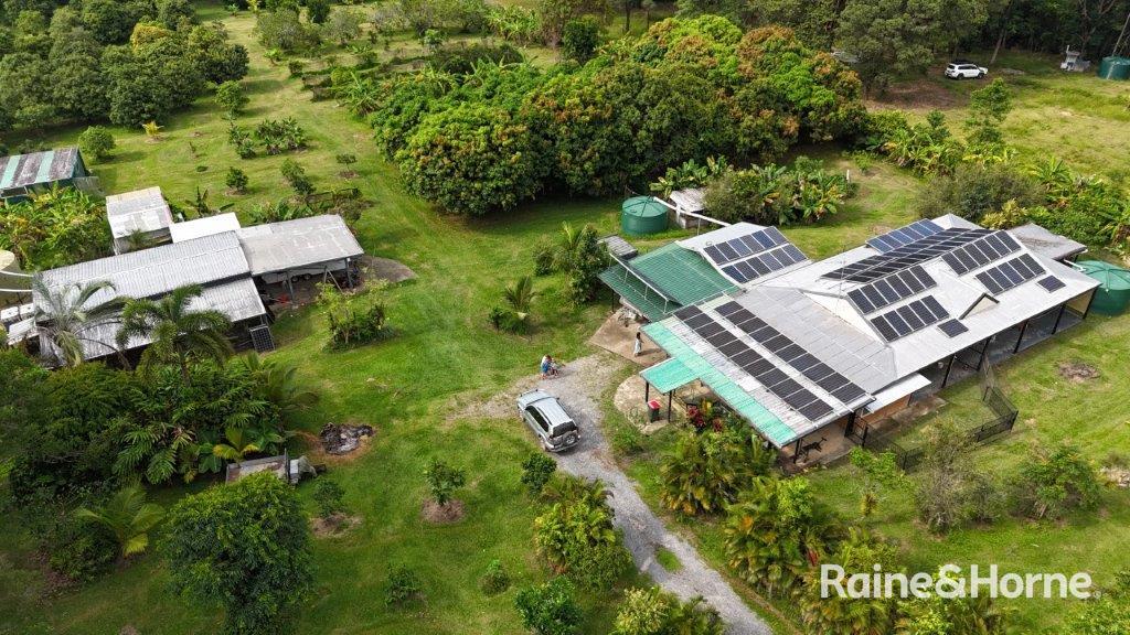 112 George Road, Forest Creek, Daintree, QLD 4873