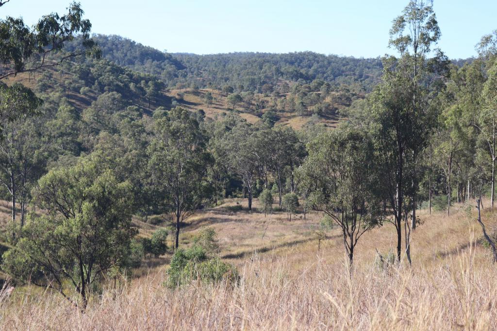'Chapmans' Monto Mount Perry Rd, Mount Perry, QLD 4671