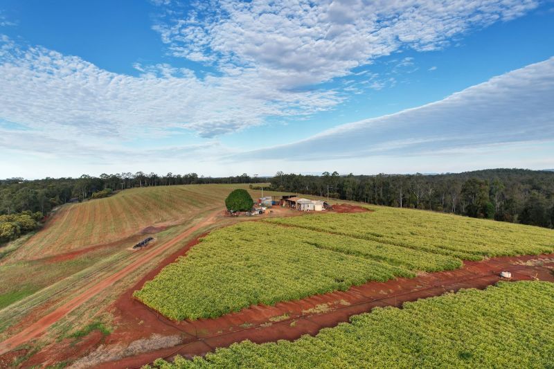 63 Griggs Rd, Eureka, QLD 4660