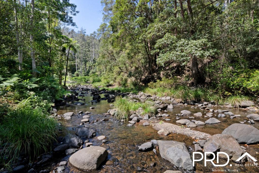 1198 Horseshoe Creek Rd, Upper Horseshoe Creek, NSW 2474