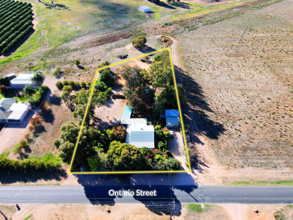 286 Ontario St, Renmark West, SA 5341